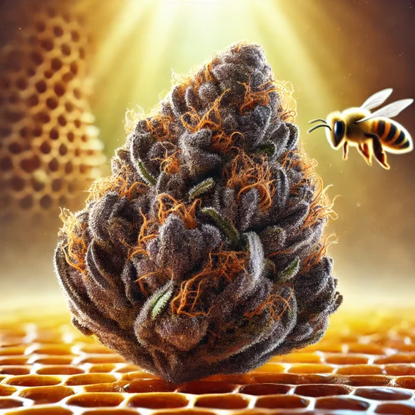 Black Friday Rare Release: Exclusive Seed Drop with Mr. Grow It